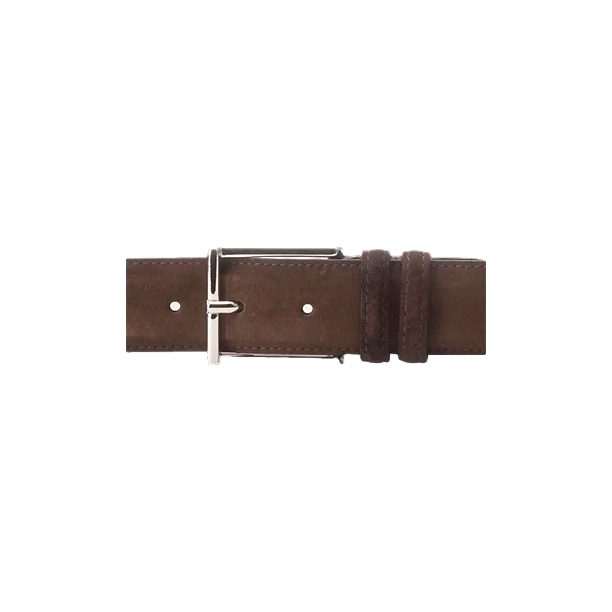 BELT Bruin