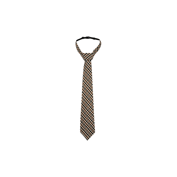 CHECK TIE Bruin