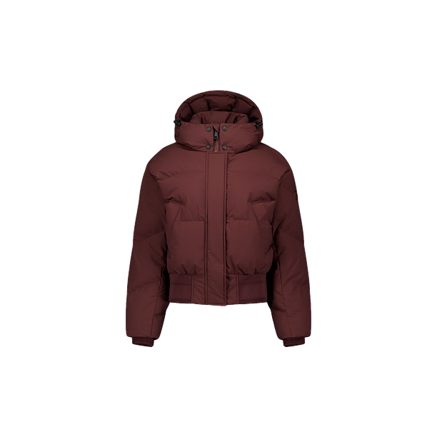 BEX BOMBER Bruin