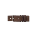 BELT Bruin
