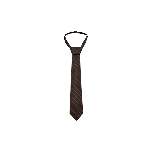 MOCCA PIN STRIPE TIE Bruin